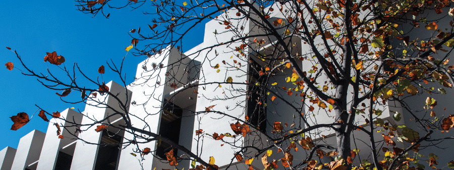 J F K library in the fall
